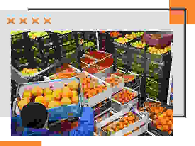 Перевозка скоропортящихся продуктов в Тулуне